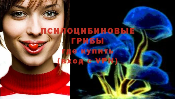 2c-b Заволжье