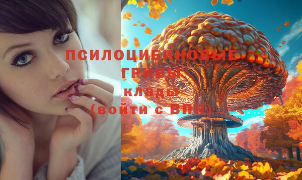 2c-b Заволжье