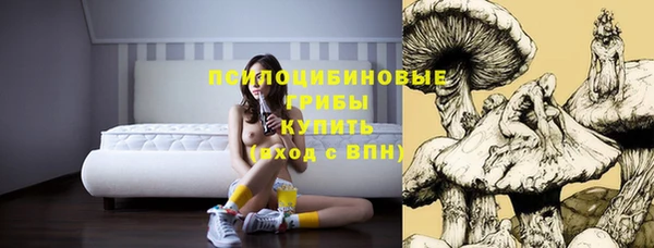 2c-b Заволжье