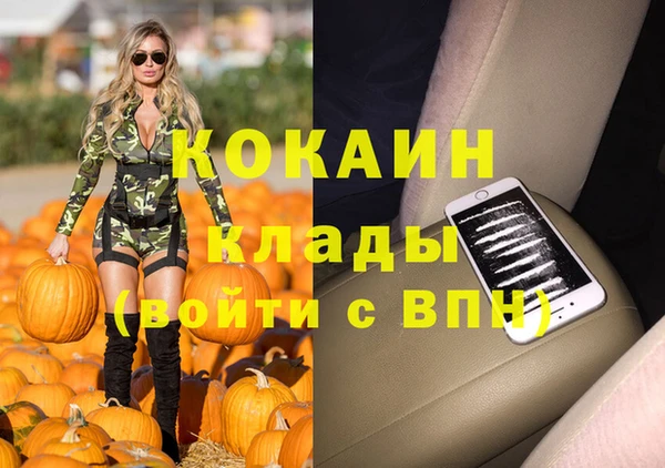 не бодяженный Заводоуковск