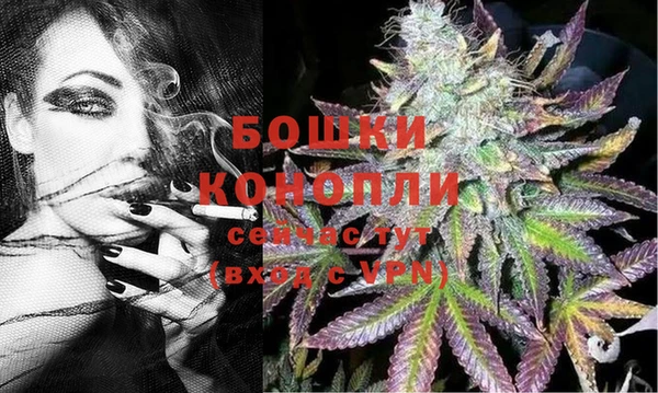 не бодяженный Заводоуковск