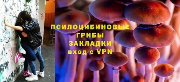не бодяженный Заводоуковск
