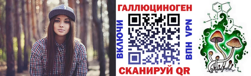 гидра ТОР  Кимовск  Галлюциногенные грибы Psilocybe 