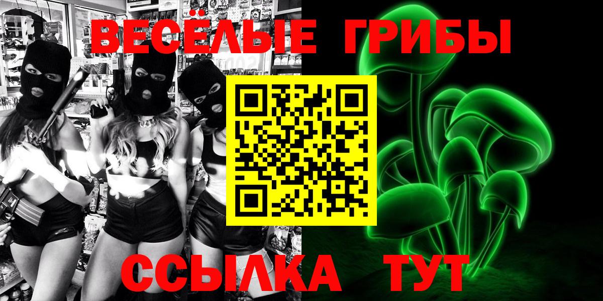 Кимовск  Псилоцибиновые грибы Psilocybine cubensis  Псилоцибиновые грибы Psilocybine cubensis  Вход с VPN 