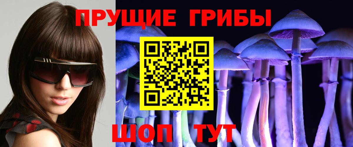 Галлюциногенные грибы MAGIC MUSHROOMS Кимовск